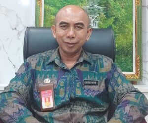 I Wayan Budiasa