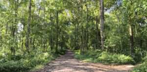 HUTAN