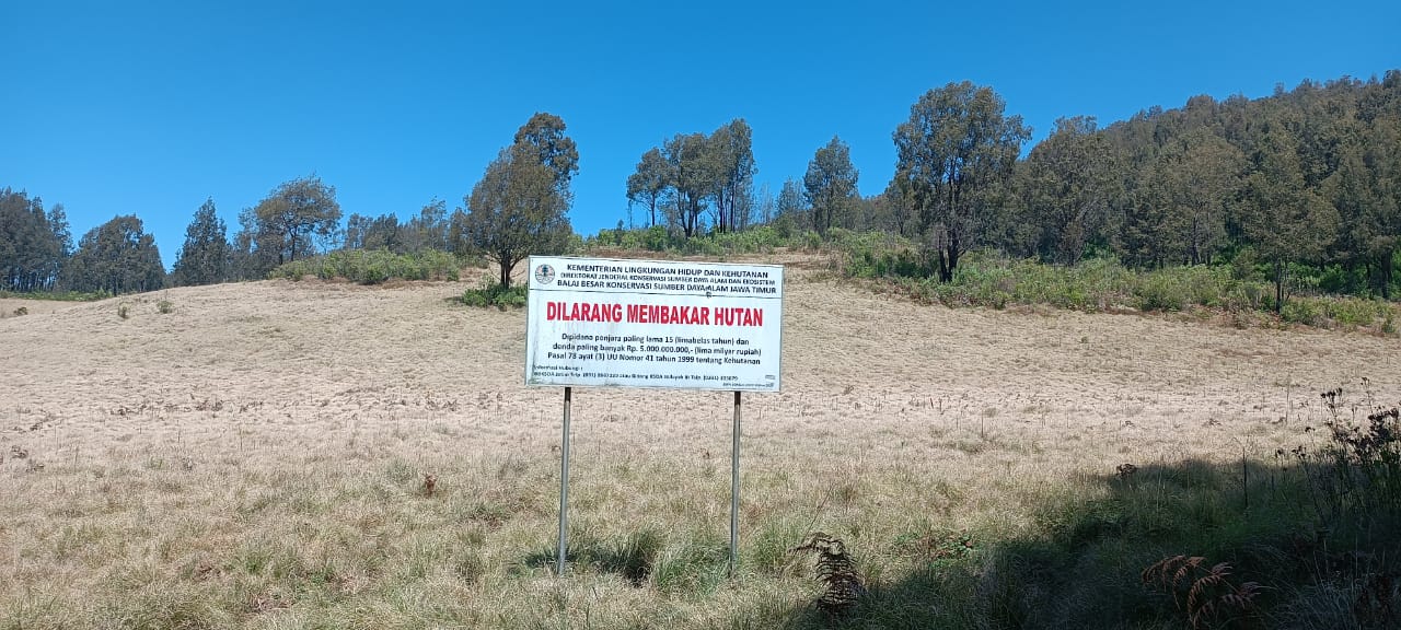Sbana besar