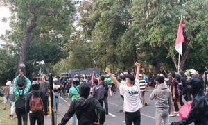Demonstran Bali
