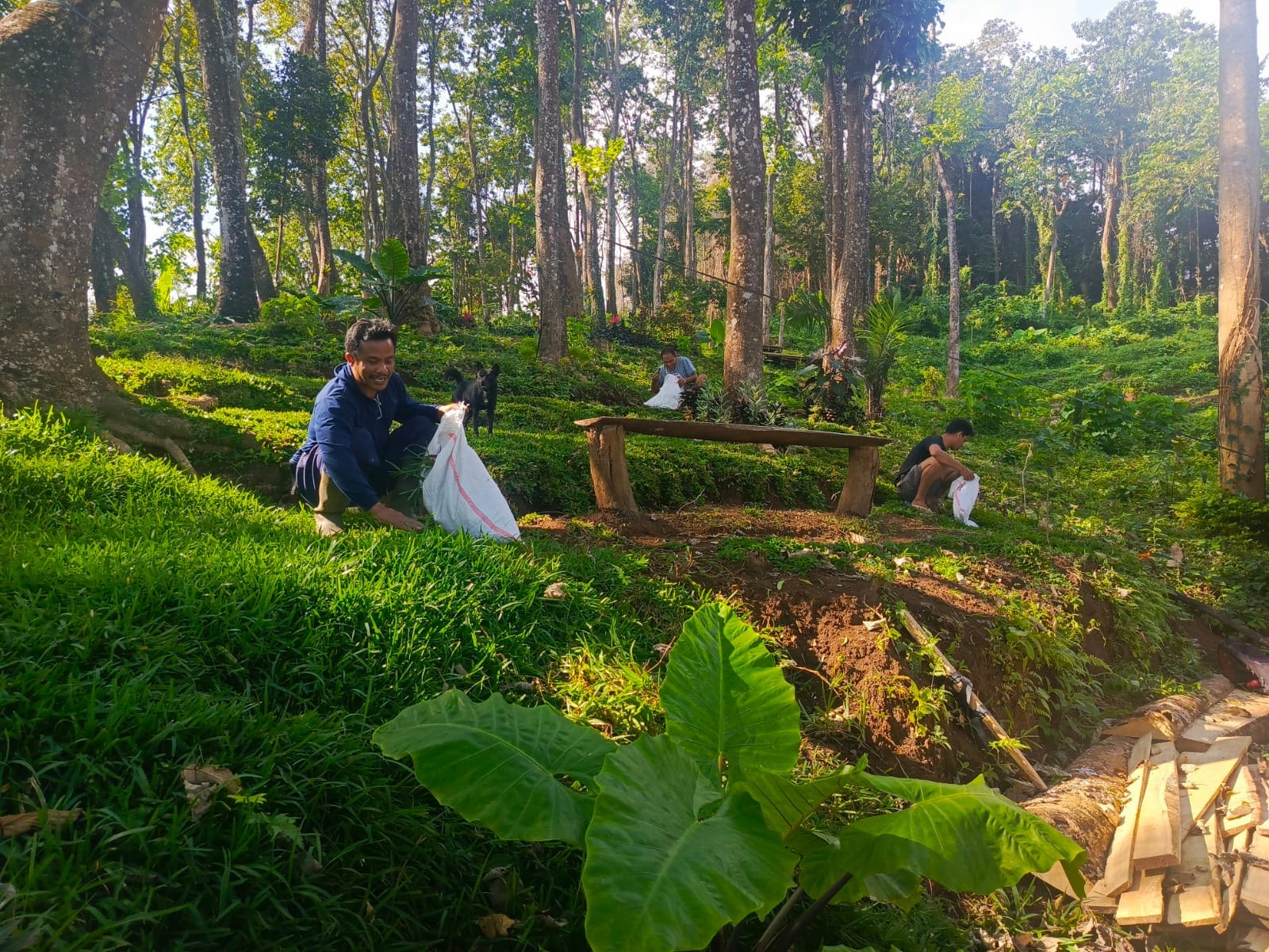 LOKASI dugaan pembabatan hutan di Desa Ambengan, Kecamatan Sukasada, Buleleng yang sempat viral di media sosial.