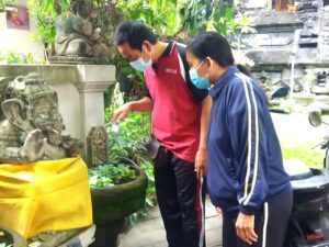 Dinkes Denpasar gerak cepat lawan DBD dengan KIE, PSN, dan Jumantik Mandiri.