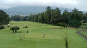 Handara Golf & Resort