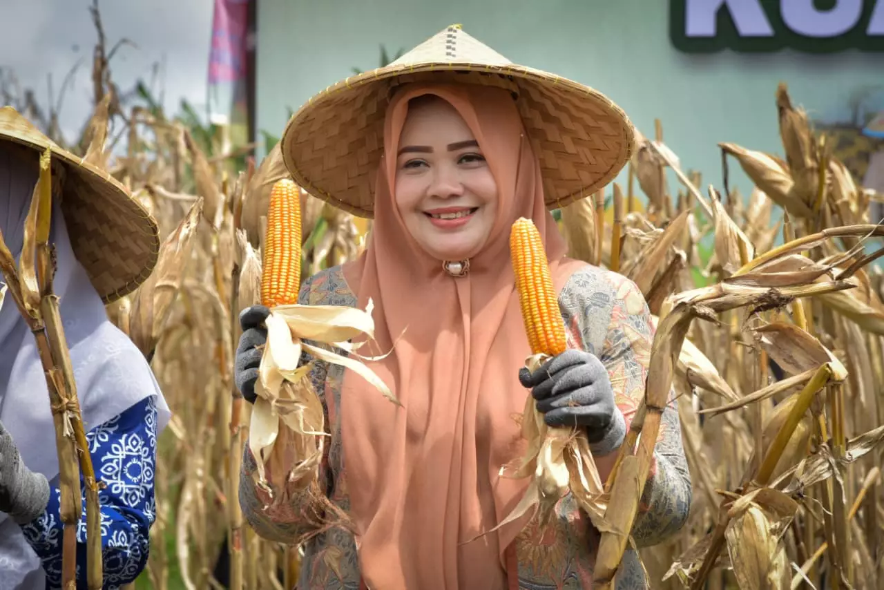 Wagub NTB Minta Perketat RTRW Demi Lindungi Lahan Pertanian Produktif