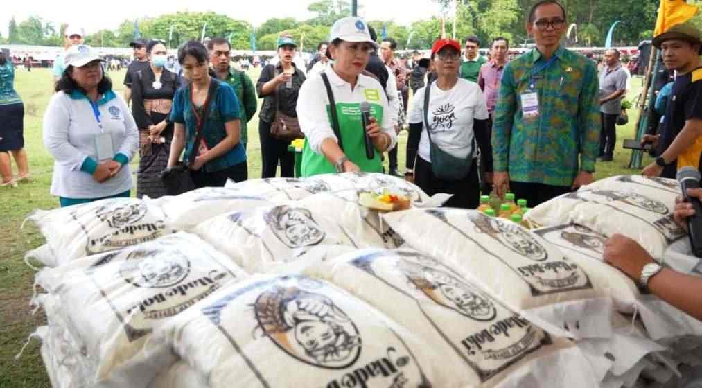 Dorong Ekonomi Lokal, Pasar Rakyat PKK Bali Fasilitasi 138 UMKM dengan Stan Gratis