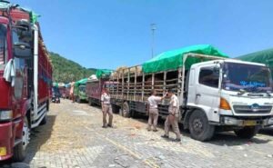 NTB Pastikan Distribusi Ternak 2026 Lebih Terorganisir, Antisipasi Penumpukan di Pelabuhan