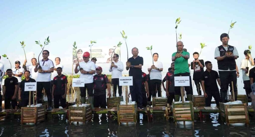 Strategi Gubernur Koster Perkuat Ekosistem Bali Melalui Penanaman Mangrove di Tahura Tanjung Benoa