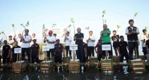 Strategi Gubernur Koster Perkuat Ekosistem Bali Melalui Penanaman Mangrove di Tahura Tanjung Benoa