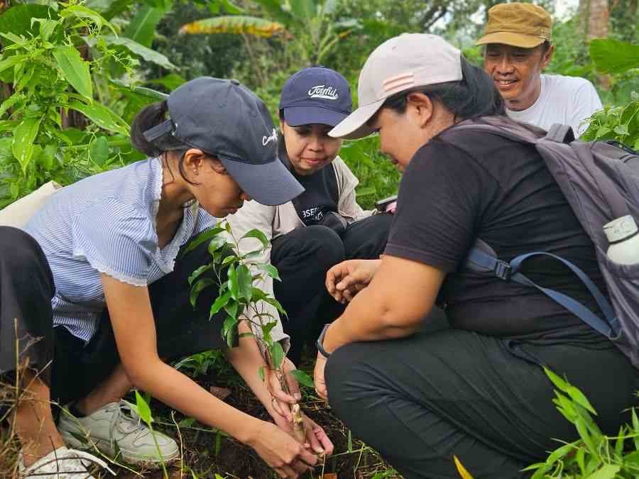 Rayakan HUT ke-27, IDEP Selaras Alam Tanam Ratusan Beringin di Hutan Sambangan Buleleng