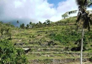 Waspada! Bali Masuk Musim Kemarau Lebih Kering, BBMKG Imbau Masyarakat Hemat Air