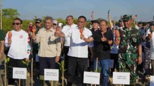 Aksi Nyata Bali Hadapi Perubahan Iklim Menteri LH & Gubernur Koster Kolaborasi Tanam Mangrove di Denpasar