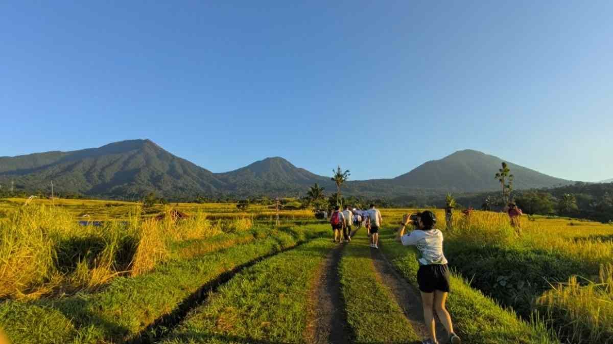 Bali Tourism Run 2026 di Jatiluwih Sukses, Ekonomi Lokal Tembus Rp 2 Miliar
