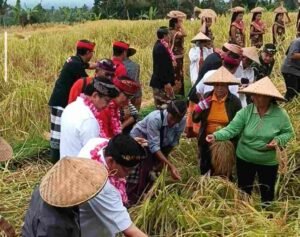 Jatiluwih Festival VII 2026 Resmi Dibuka Mengusung Harmoni Alam dan Tradisi Bali