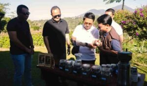 Optimalkan Potensi Kopi dan Wisata Agro, Pemkab Badung Kembangkan Agro Techno Park di Petang