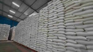 Rekor Baru! BULOG Serap 3 Juta Ton Beras Petani, Perkuat Cadangan Pangan Nasional