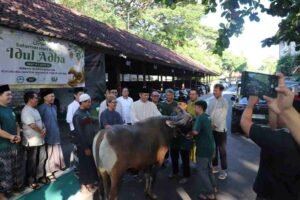 Sinergi PLN Group Bali Tebar Manfaat Iduladha 1447 H Melalui Penyaluran Hewan Kurban