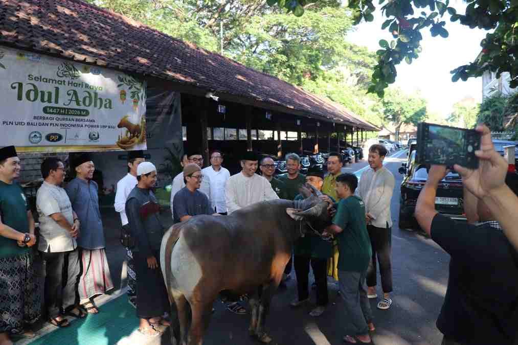 Sinergi PLN Group Bali Tebar Manfaat Iduladha 1447 H Melalui Penyaluran Hewan Kurban