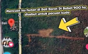 Viral Isu Hutan Jembrana Gundul KPH Bali Barat Ungkap Fakta di Balik Lahan PT Wira Darma Bakti