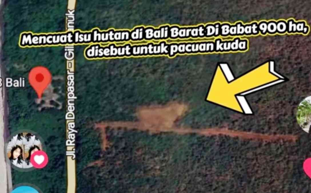 Viral Isu Hutan Jembrana Gundul KPH Bali Barat Ungkap Fakta di Balik Lahan PT Wira Darma Bakti