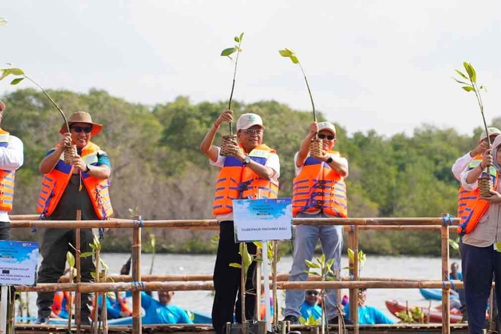 Koster Dorong Gerakan Penanaman Mangrove Bulanan demi Perkuat Ekosistem Pesisir Bali