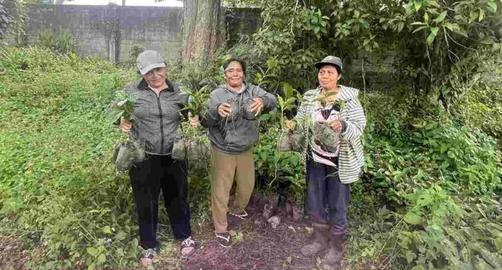 Peran Penting Perempuan di Balik Harum Kopi Kintamani: Kisah Inspiratif dari Desa Catur
