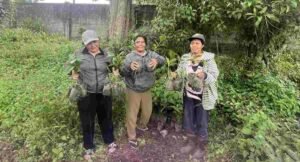 Peran Penting Perempuan di Balik Harum Kopi Kintamani Kisah Inspiratif dari Desa Catur