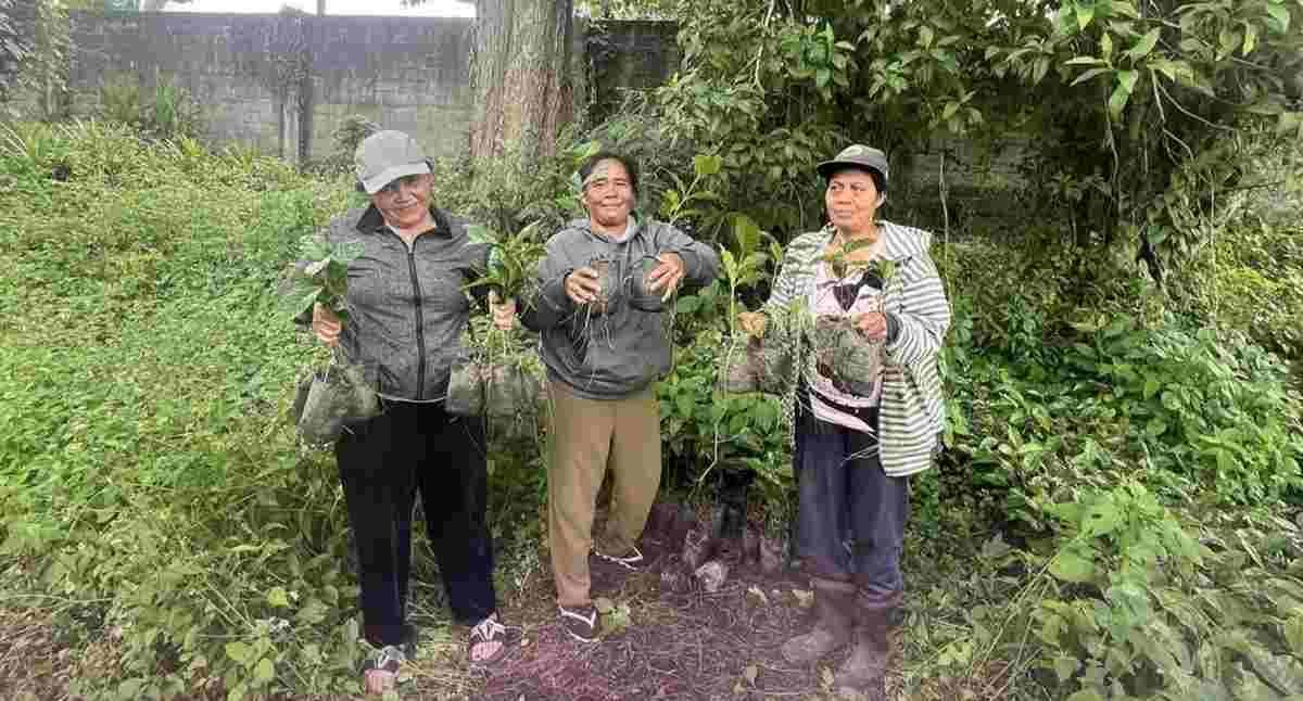 Peran Penting Perempuan di Balik Harum Kopi Kintamani: Kisah Inspiratif dari Desa Catur