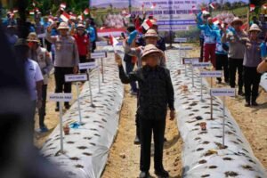 Gubernur Bali Dukung Gerakan Penanaman Bawang Putih Serentak untuk Swasembada Pangan