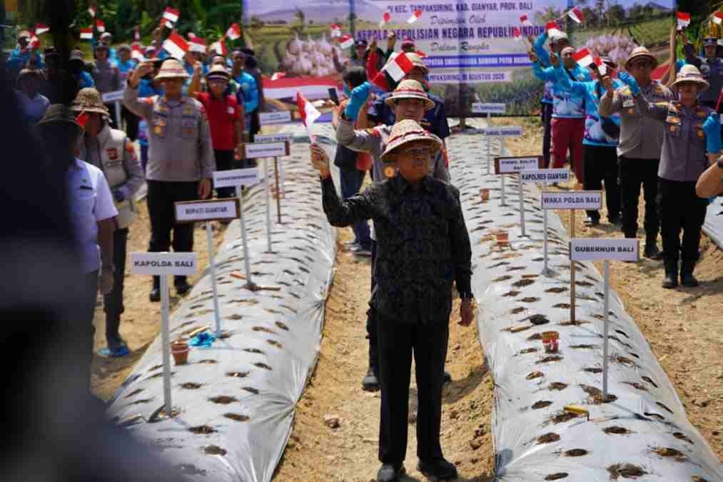 Gubernur Bali Dukung Gerakan Penanaman Bawang Putih Serentak untuk Swasembada Pangan