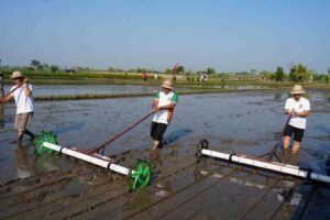 Modernisasi Pertanian Badung Metode PMAAS Siap Dongkrak Produktivitas Padi hingga 12 Ton