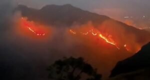 Kebakaran Gunung Rinjani Meluas 977 Hektare, Jalur Senaru dan Torean Ditutup Sementara