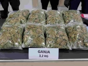 Penyelundupan Ganja 3,2 Kg Terbongkar di Denpasar, Terdakwa Dijanjikan Rp 50 Ribu per Alamat