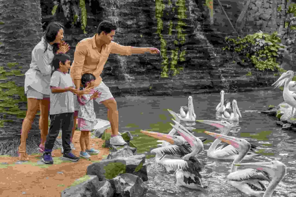 Promo HUT ke-31, Bali Bird Park Berikan Diskon Tiket 31% untuk Semua Pengunjung