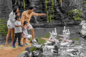 Promo ke-31 Bali Bird Park Nikmati Diskon Tiket 31% untuk Wisatawan Domestik dan Internasional